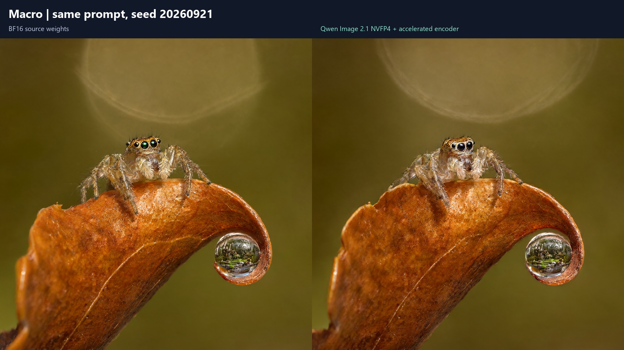 ab_macro_20260921.jpg