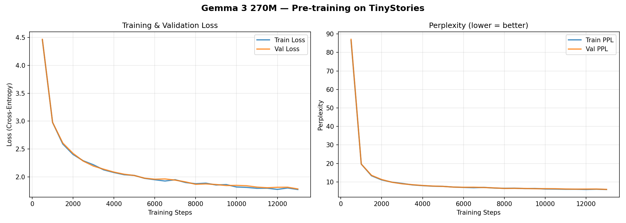 Training Loss Curves