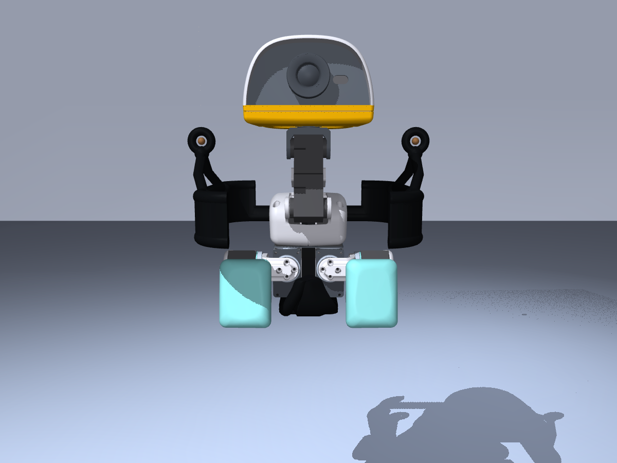 Front view