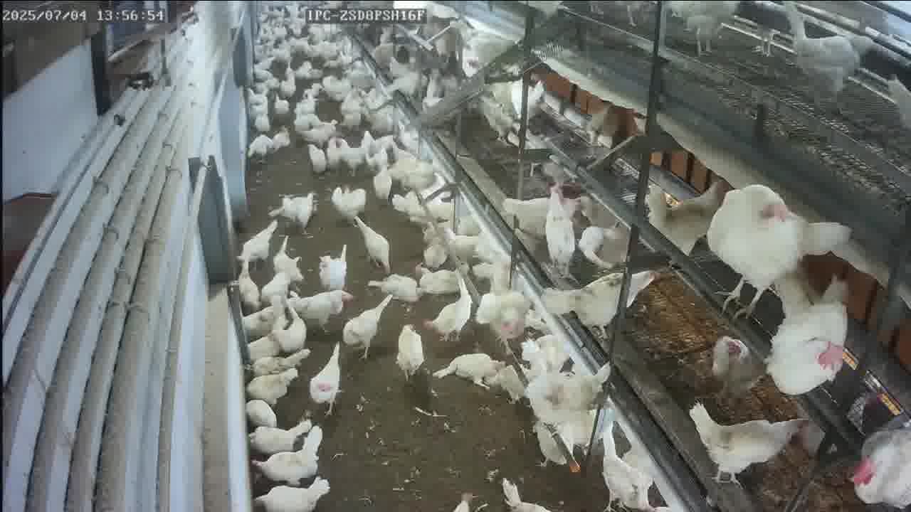 image_test.jpg