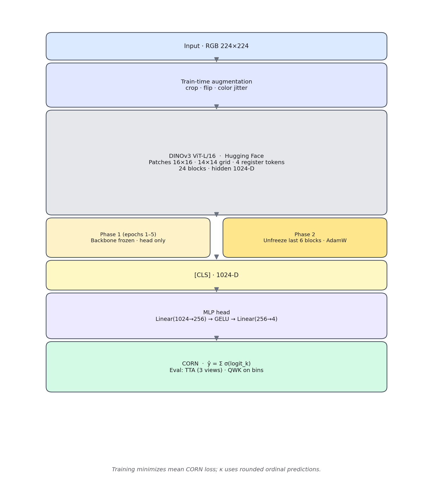 Architecture: image → DINOv3 → CLS → MLP head → CORN logits → expected ordinal score