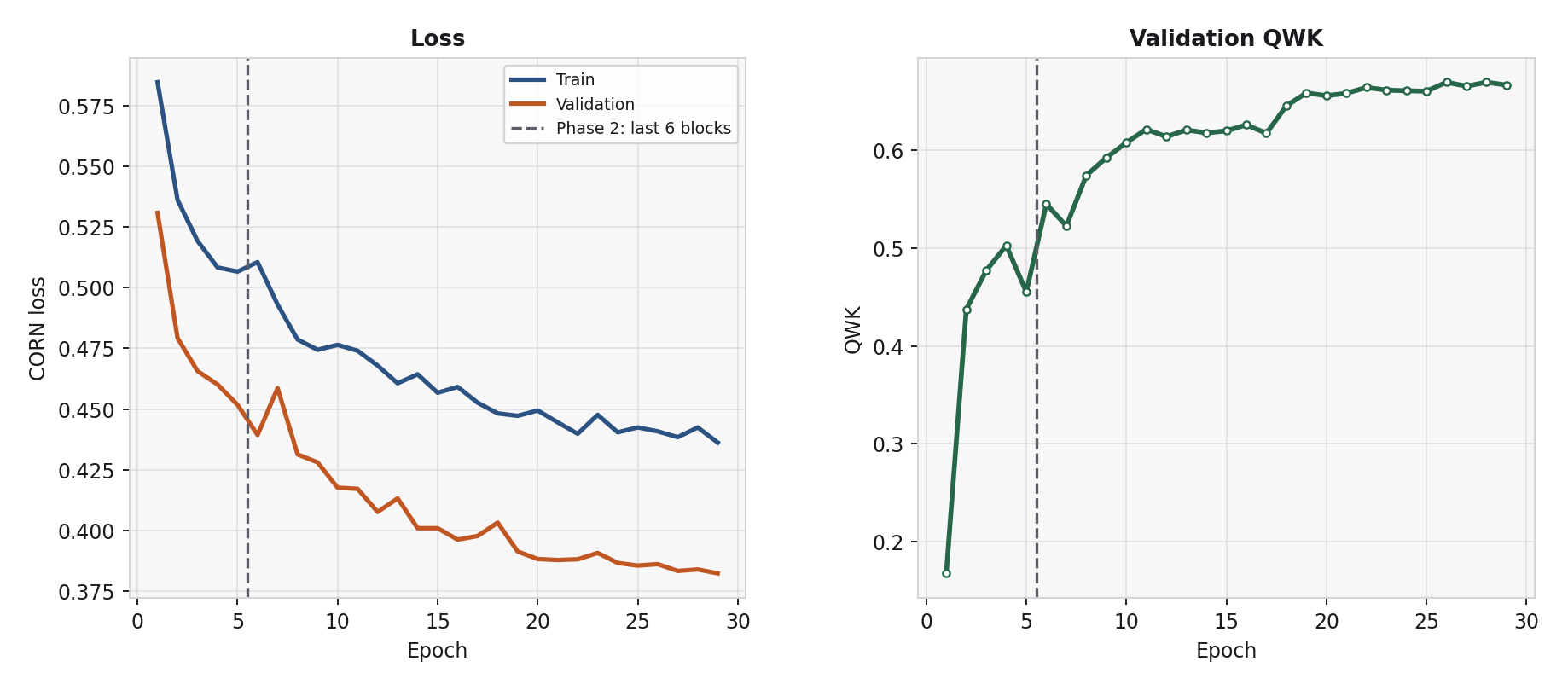 Learning curves: CORN loss and validation QWK
