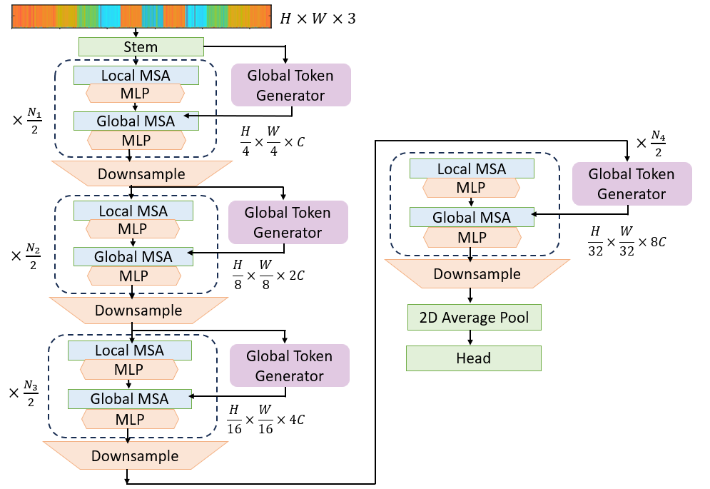 The suggested GC-ViT architecture