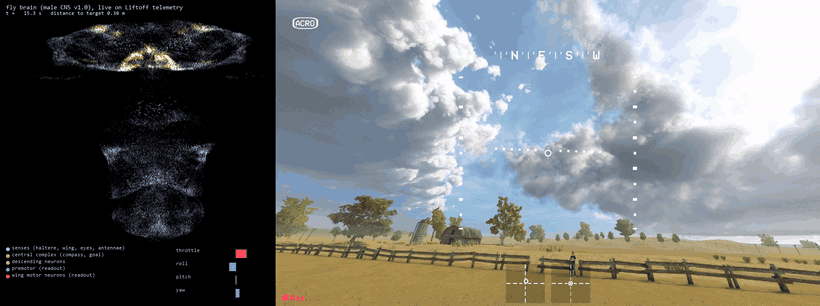 liftoff_hover.gif
