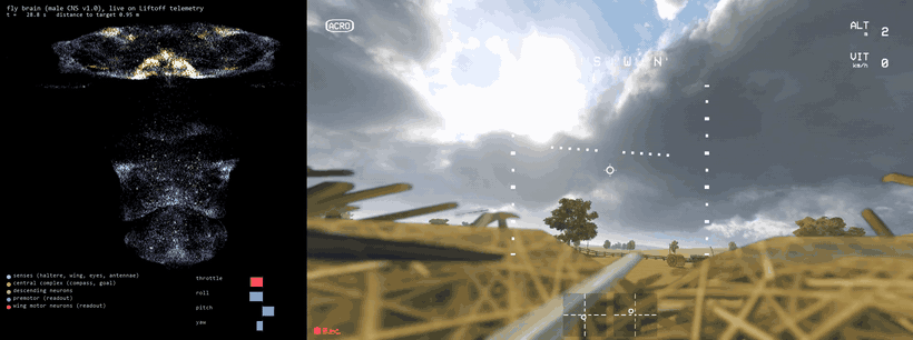 Climb and dive in Liftoff