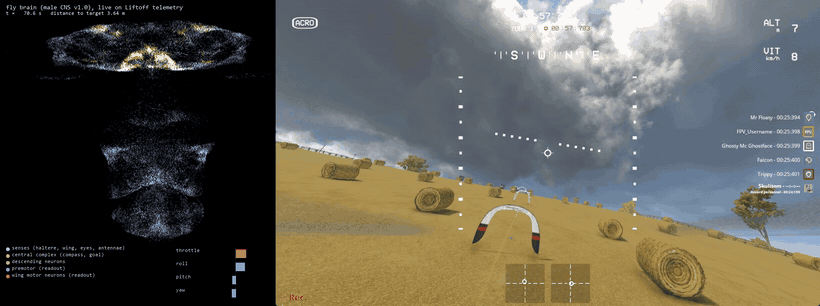 Flying by sight through the two hill gates