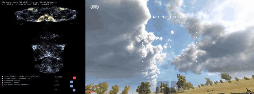 liftoff_square.gif