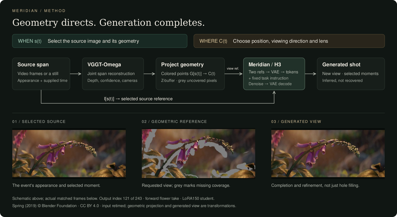 Meridian method overview with actual source, geometric-reference and generated flower frames