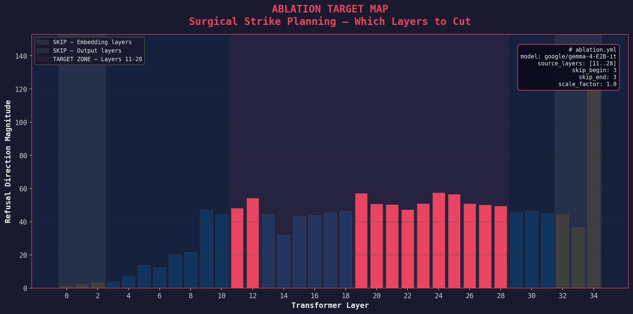 Ablation Target Map