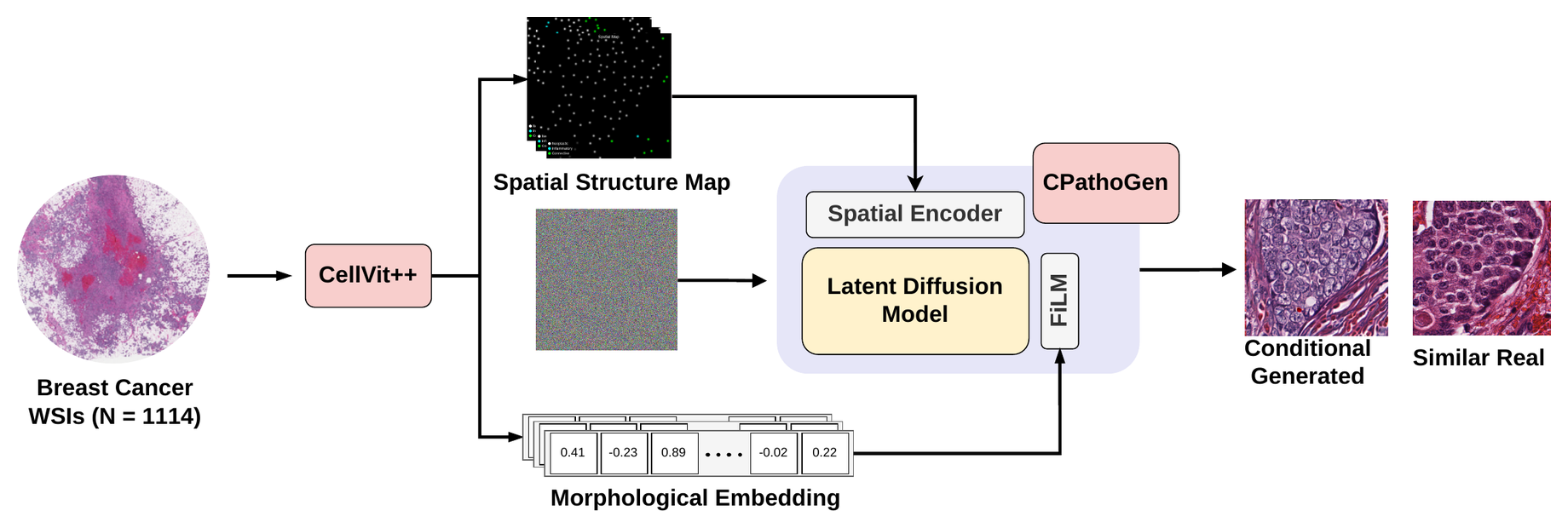 CPathOGen pipeline from CellViT++ weak labels to spatial and morphology-conditioned latent diffusion