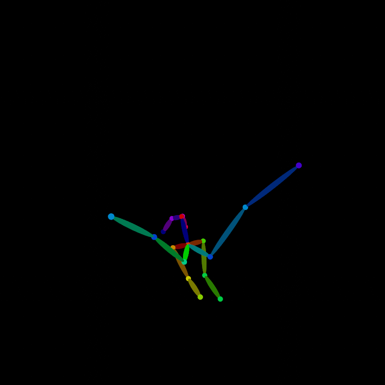 bone_34.png