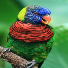 RGB Image