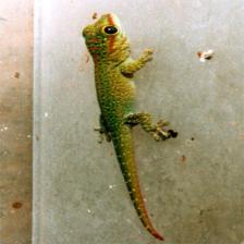 RGB Image