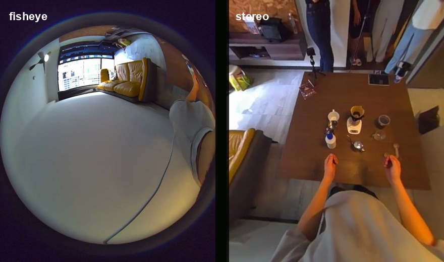 Public sample fisheye and stereo camera thumbnails