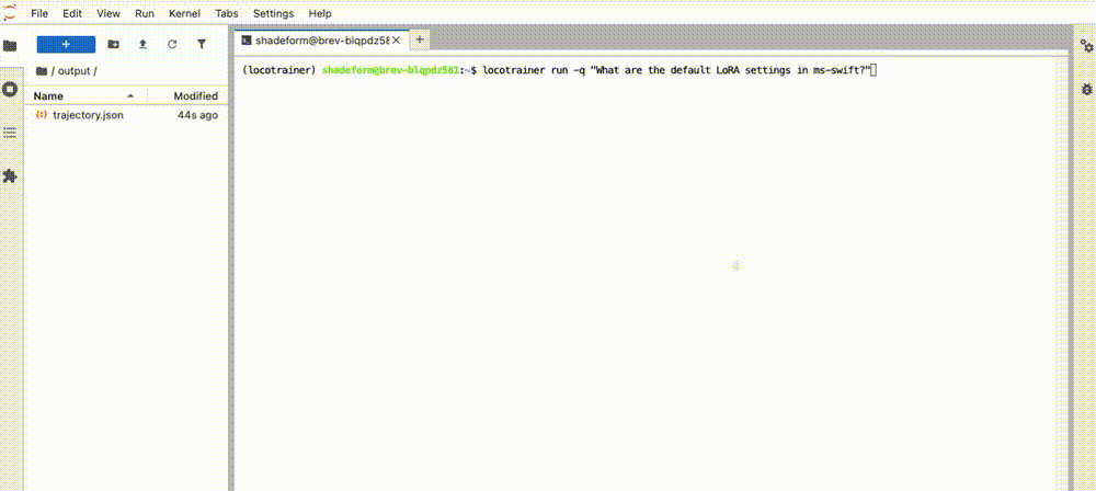 LocoTrainer Demo