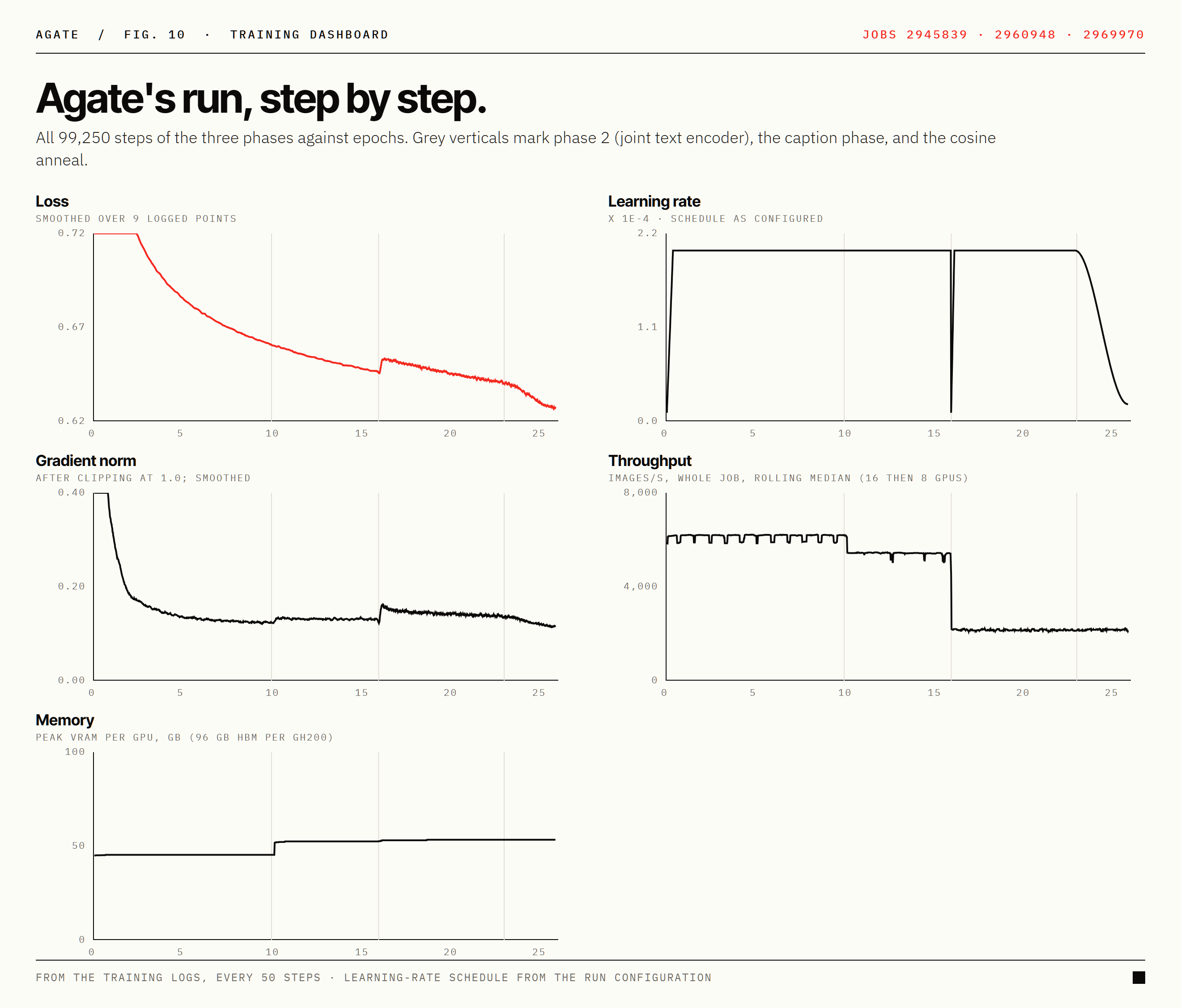 Agate training dashboard: loss, learning rate, gradient norm, throughput and memory