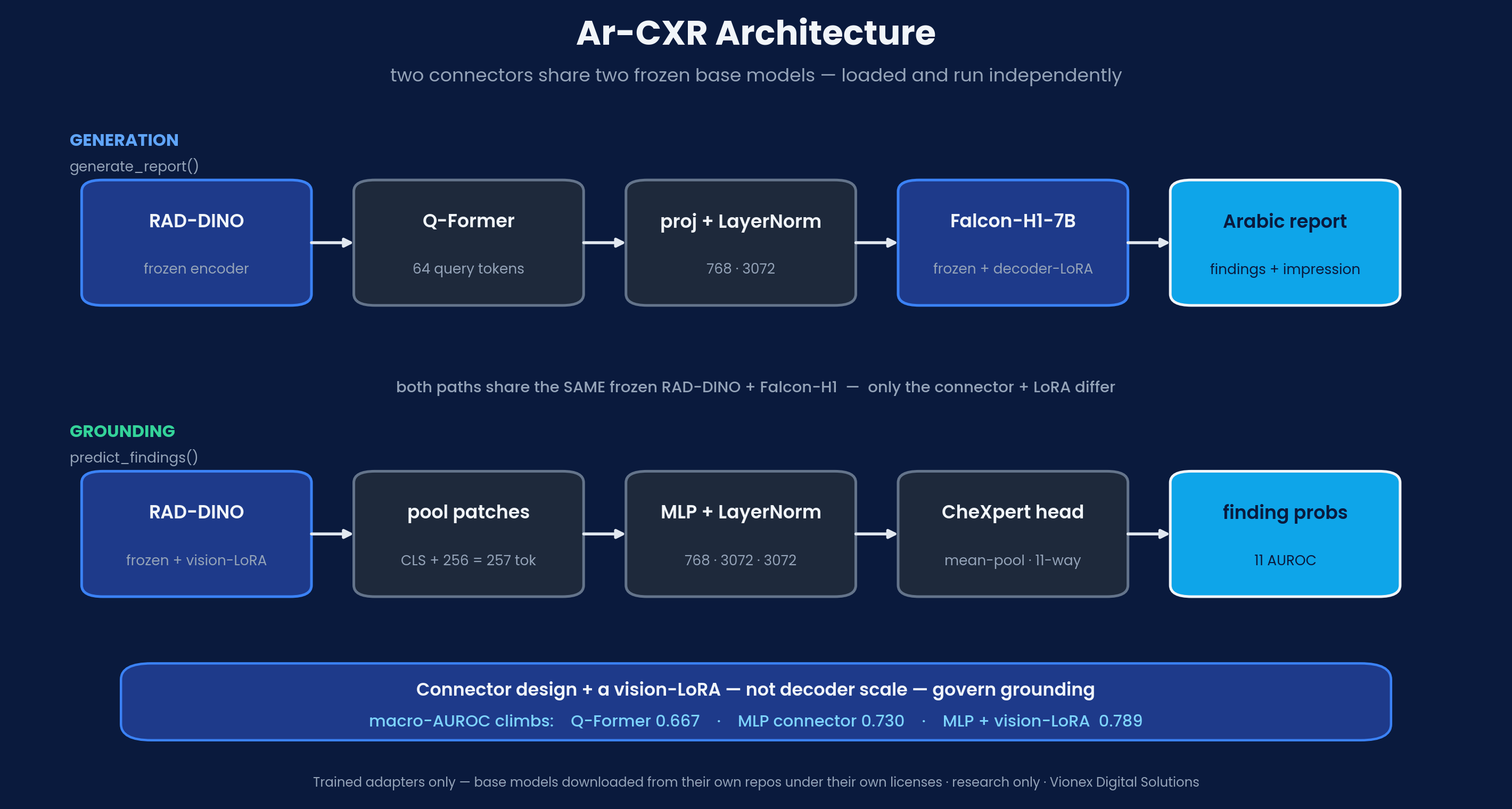 Ar-CXR two-connector architecture: Q-Former generation + MLP grounding