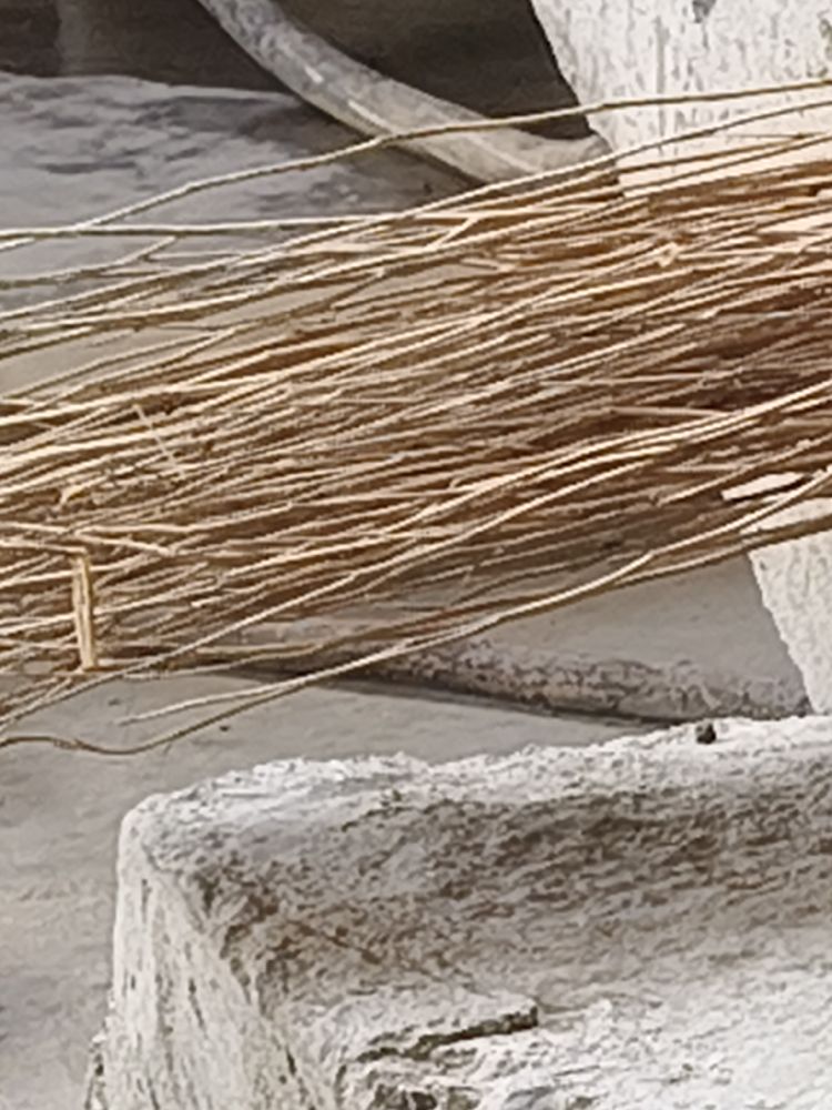 01276a3517673f60.jpg