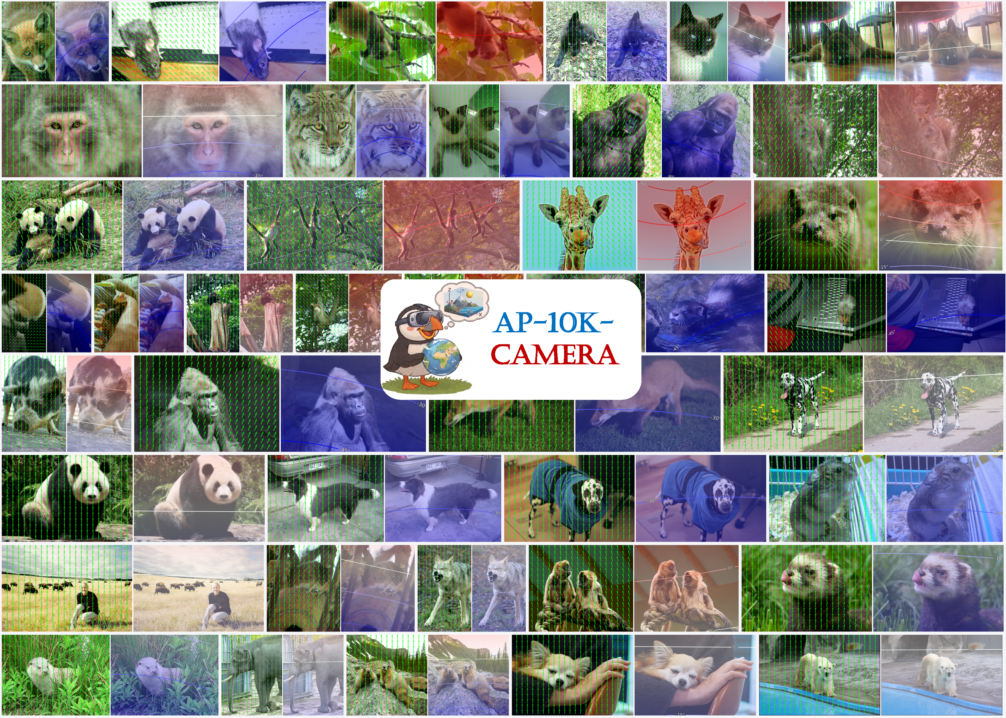 camera map collage
