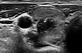 fig2a.jpg