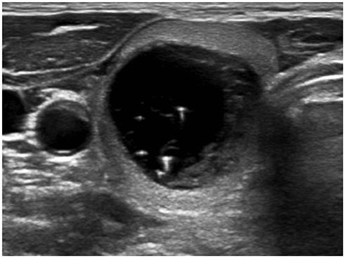 fig4.jpg