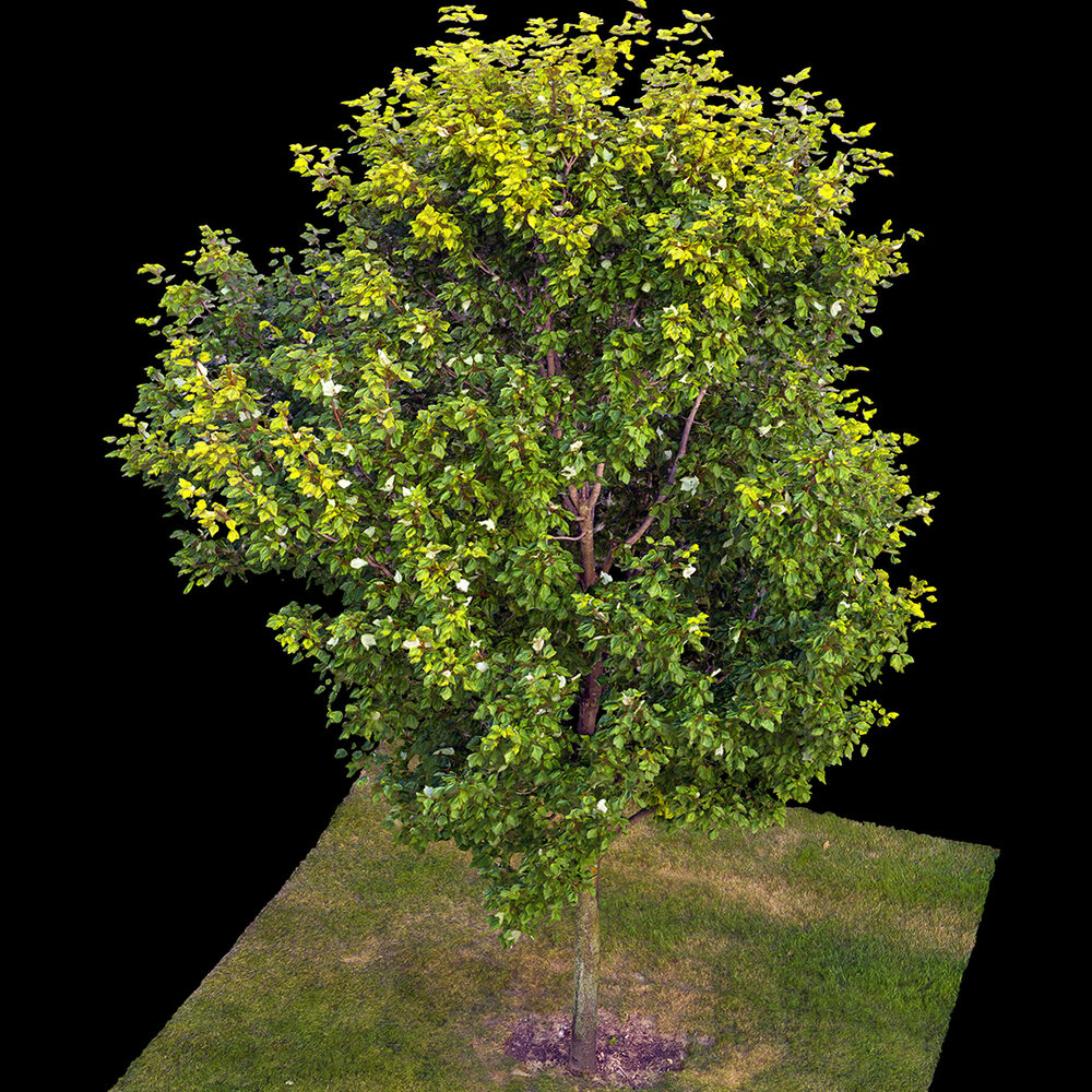 render-2.jpg
