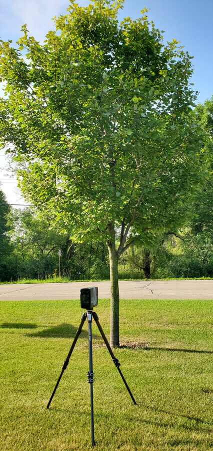FARO Focus S150 set up beneath the subject tree
