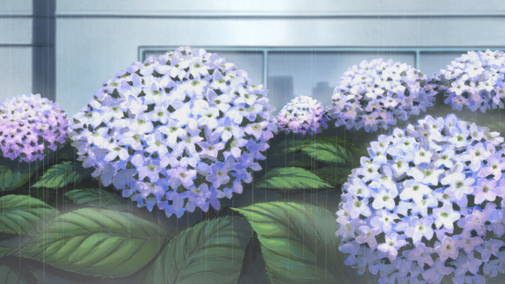 41 - O4wzcsk.png