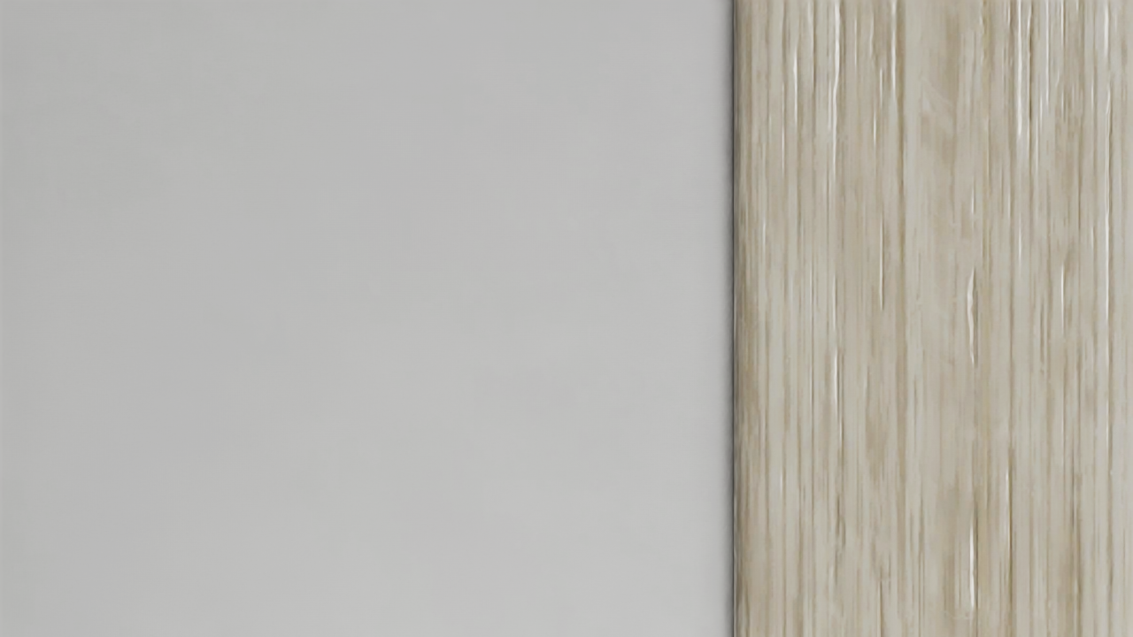 frame_000005.png