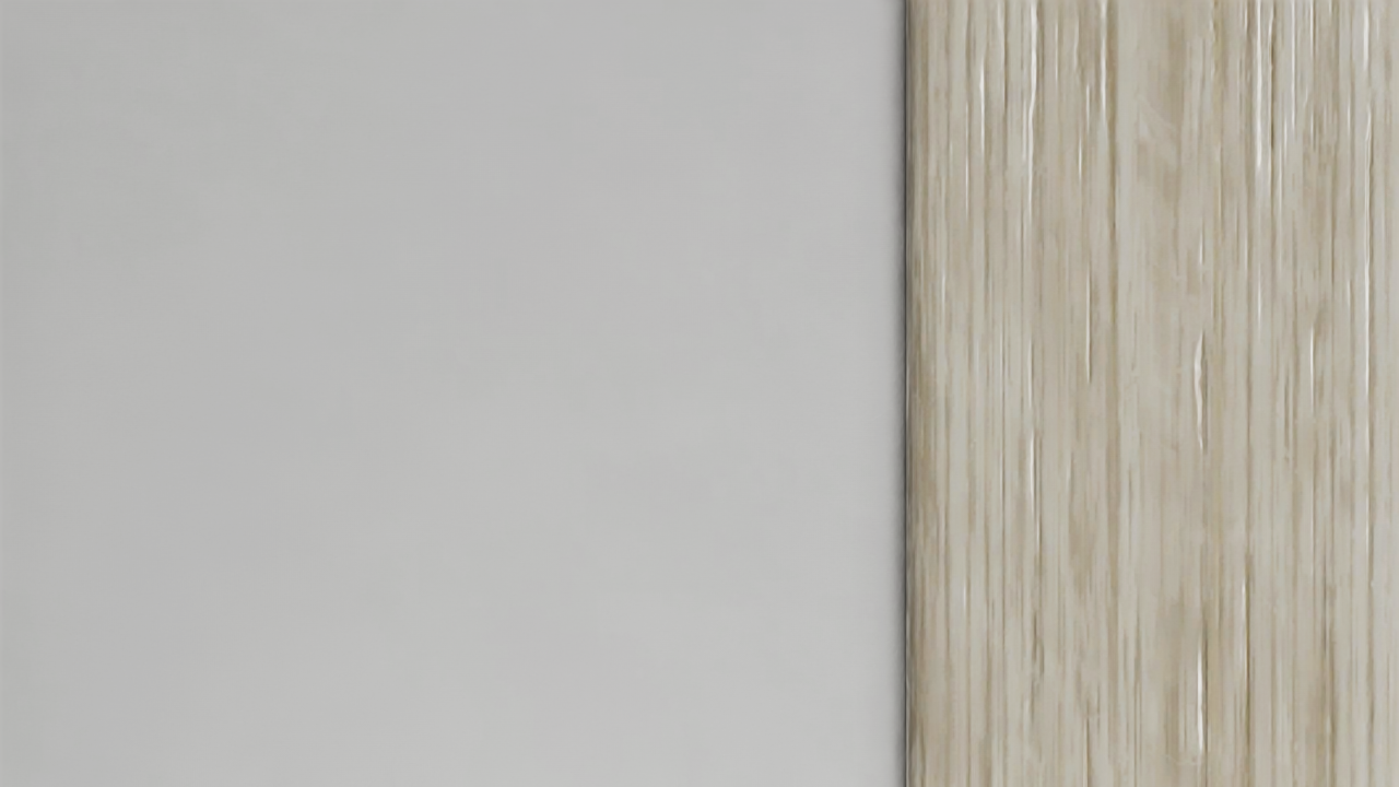 frame_000009.png