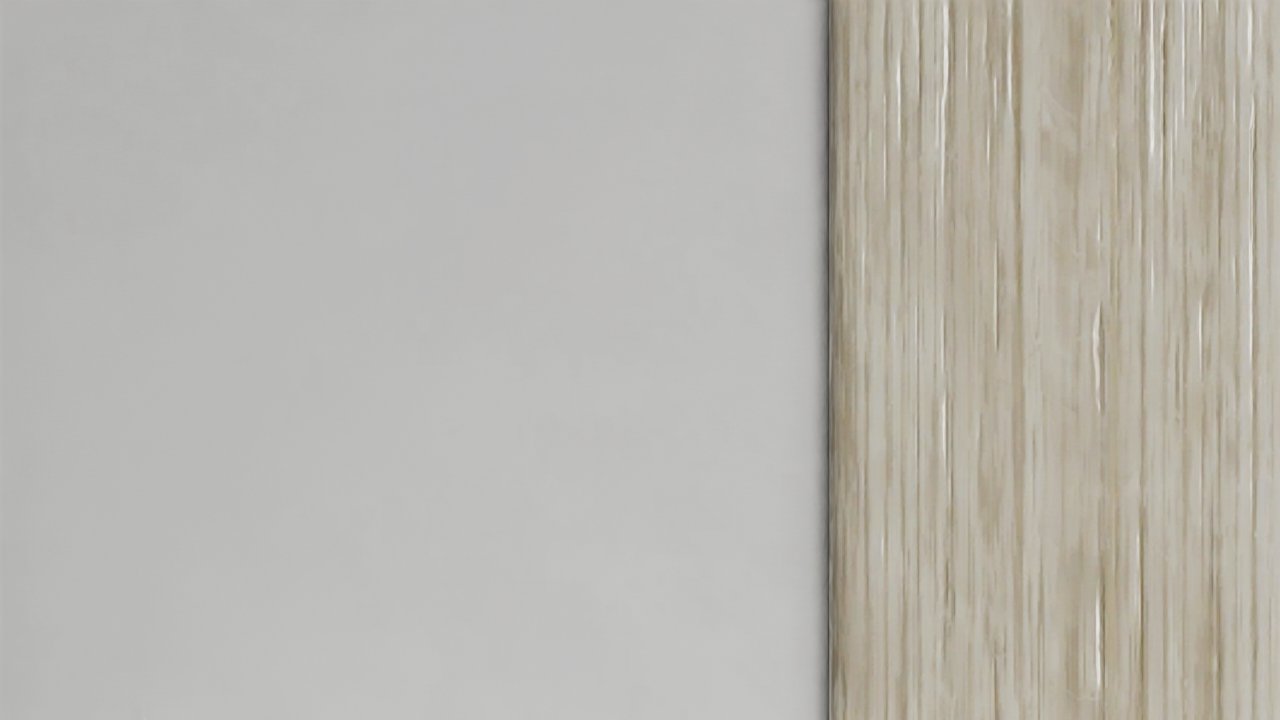 frame_000042.png