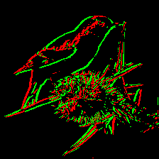 converted_3.gif