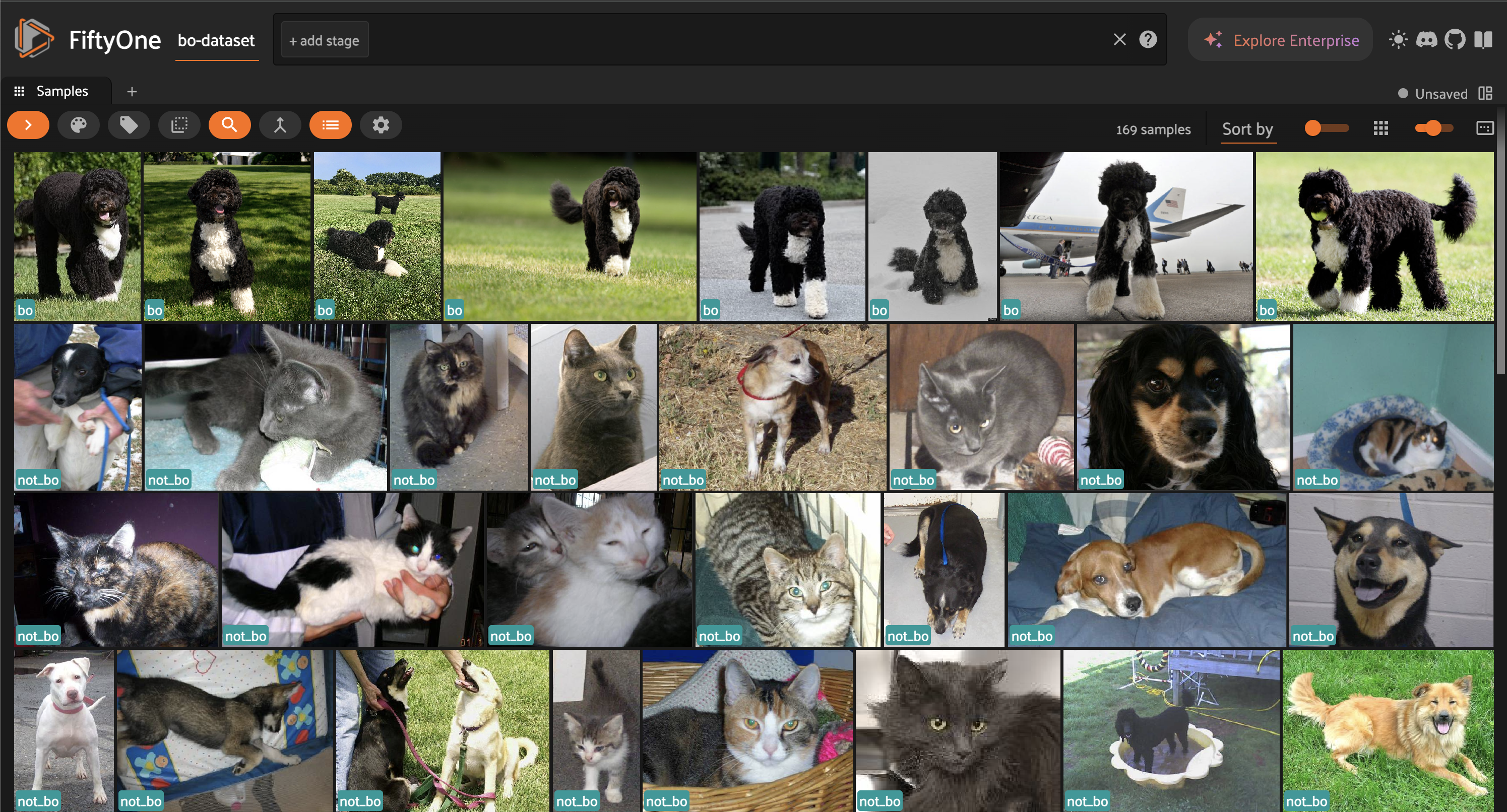 Bo Dataset