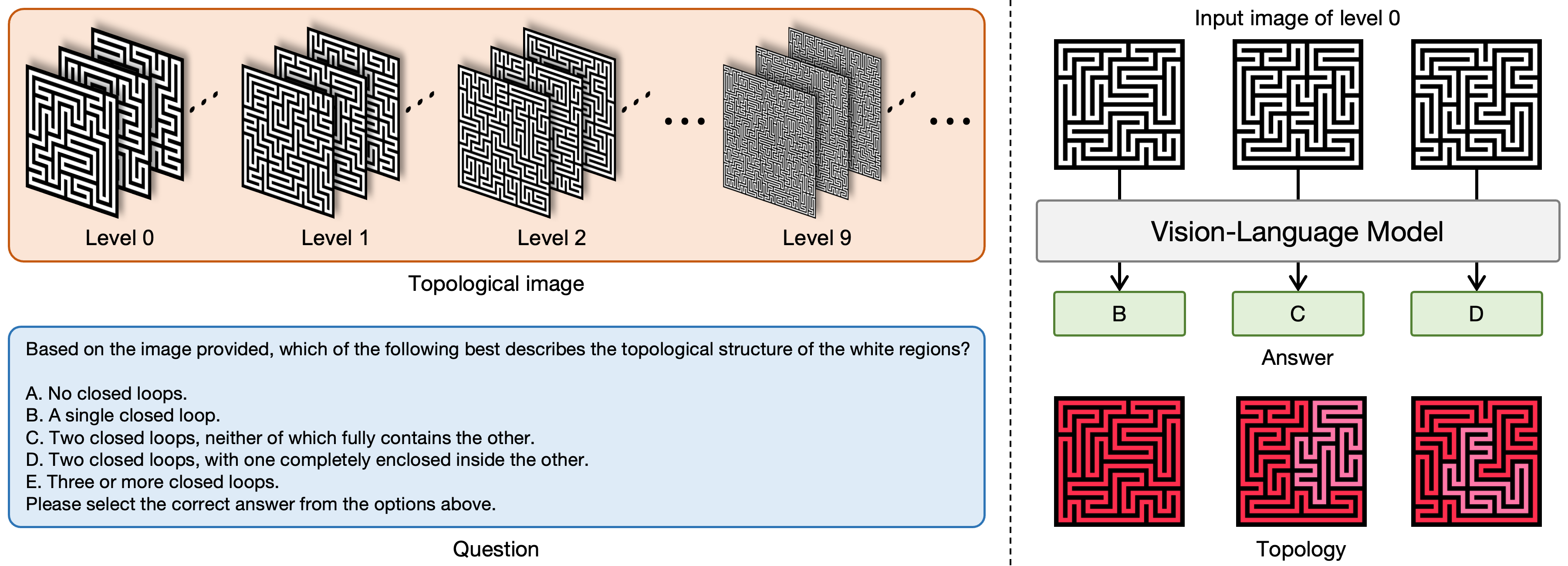 TopoPerception