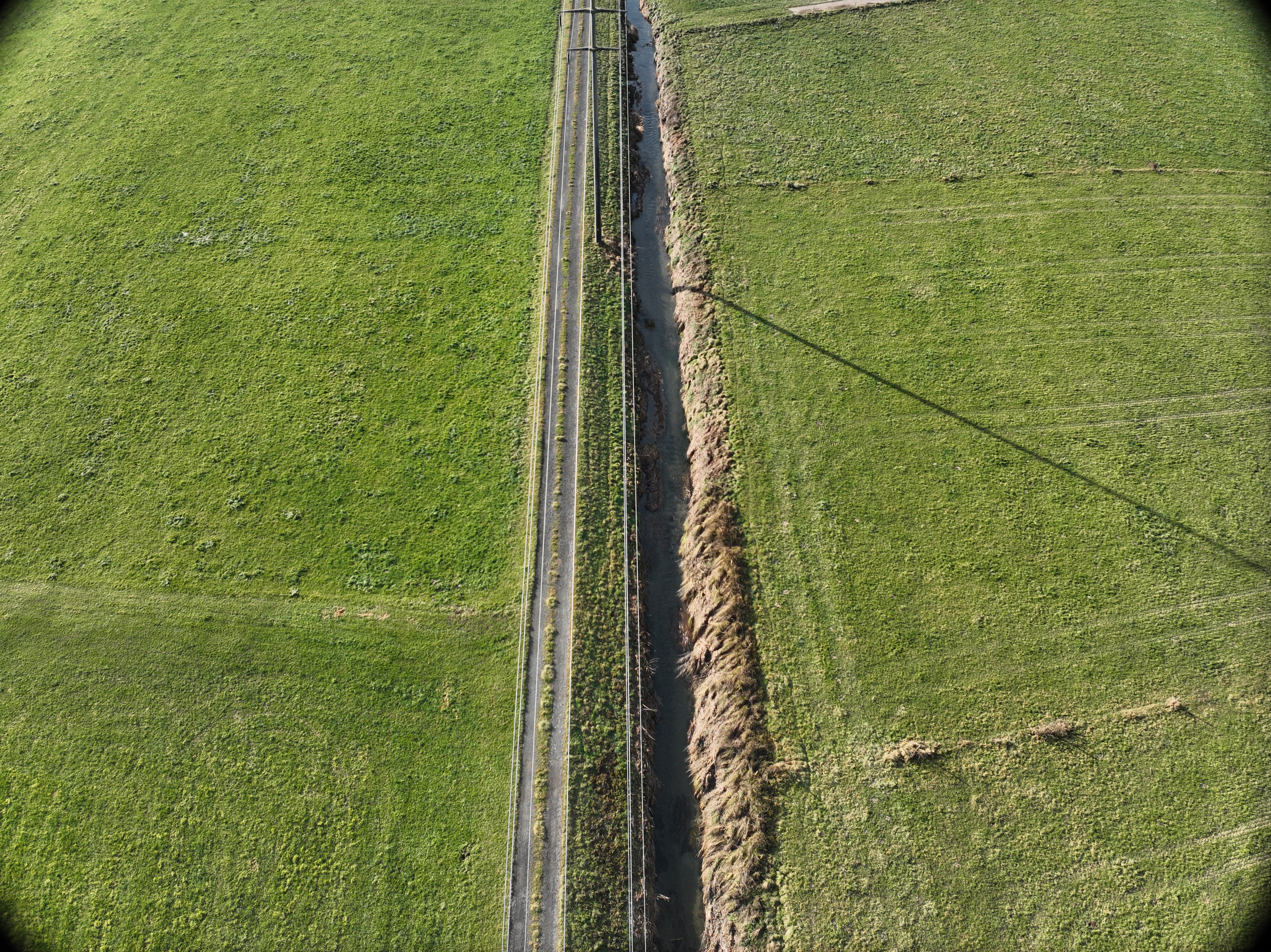 DJI_20241217110320_0053_D.JPG