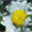 generated_image_0.png