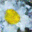 generated_image_1.png
