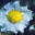 generated_image_10.png