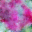 generated_image_102.png