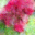 generated_image_105.png