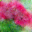 generated_image_106.png
