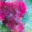 generated_image_108.png