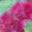 generated_image_111.png