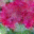 generated_image_113.png
