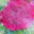 generated_image_117.png