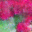 generated_image_122.png