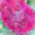 generated_image_123.png