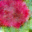 generated_image_124.png
