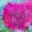 generated_image_126.png