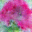 generated_image_129.png